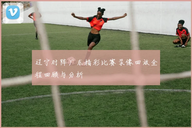 辽宁对阵广东精彩比赛录像回放全程回顾与分析