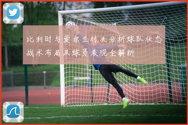 比利时与爱尔兰对决分析球队状态战术布局及球员表现全解析
