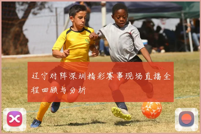 辽宁对阵深圳精彩赛事现场直播全程回顾与分析