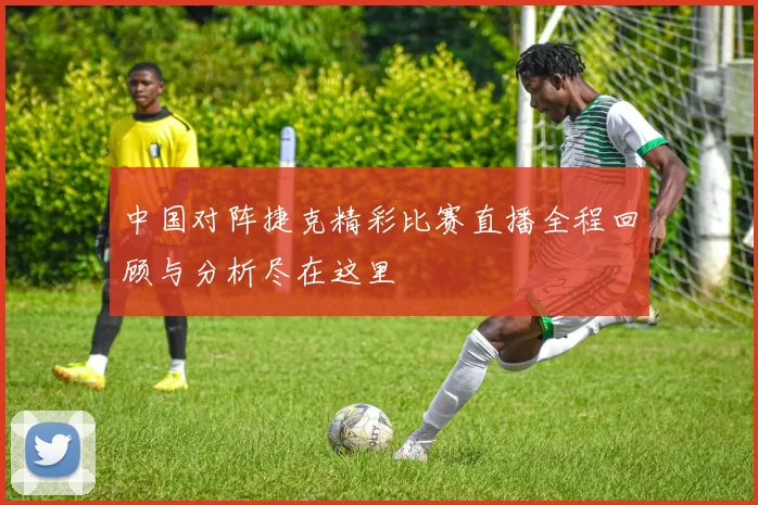 中国对阵捷克精彩比赛直播全程回顾与分析尽在这里