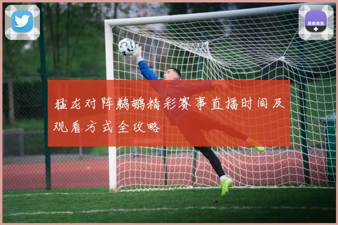 猛龙对阵鹈鹕精彩赛事直播时间及观看方式全攻略