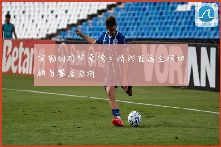 富勒姆对阵桑德兰精彩直播全程回顾与赛后分析