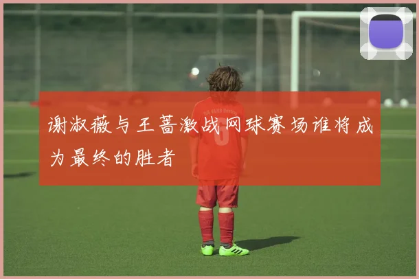 谢淑薇与王蔷激战网球赛场谁将成为最终的胜者