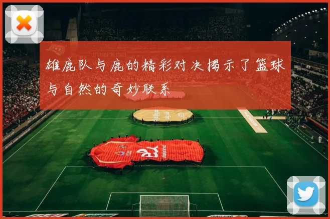 雄鹿队与鹿的精彩对决揭示了篮球与自然的奇妙联系